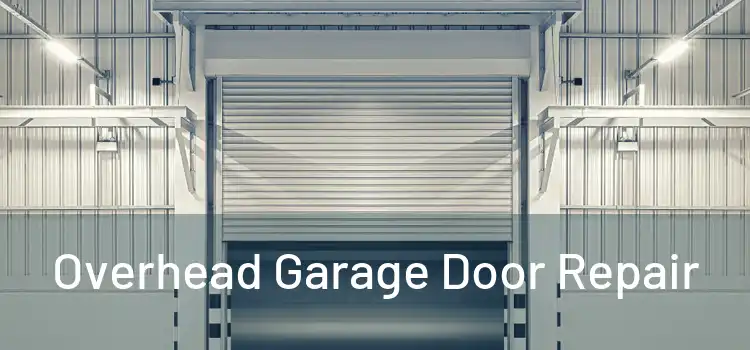  Overhead Garage Door Repair 
